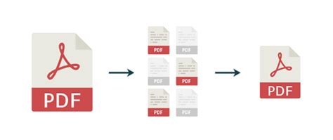PDF Extractor .